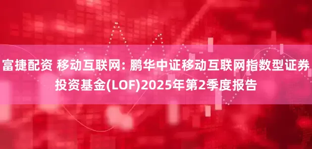 富捷配资 移动互联网: 鹏华中证移动互联网指数型证券投资基金(LOF)2025年第2季度报告