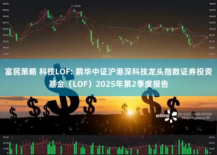 富民策略 科技LOF: 鹏华中证沪港深科技龙头指数证券投资基金（LOF）2025年第2季度报告